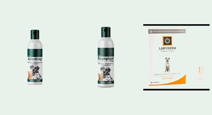 Dermatología veterinaria — shampoos y soluciones tópicas
