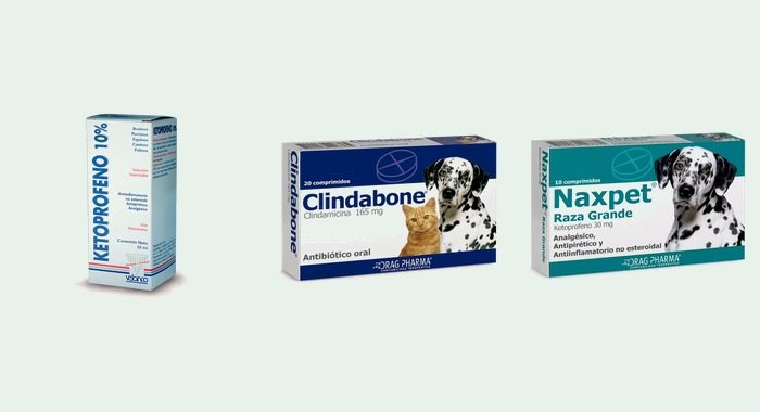 Farmacología veterinaria — antibióticos, antiinflamatorios e inyectables