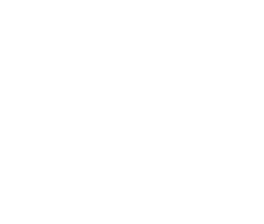 Novovet