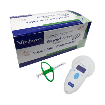Backhome Bioglass
