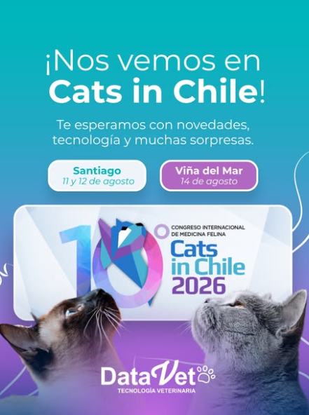 ¡Nos vemos en Cats in Chile! Santiago 11 y 12 de agosto · Viña del Mar 14 de agosto
